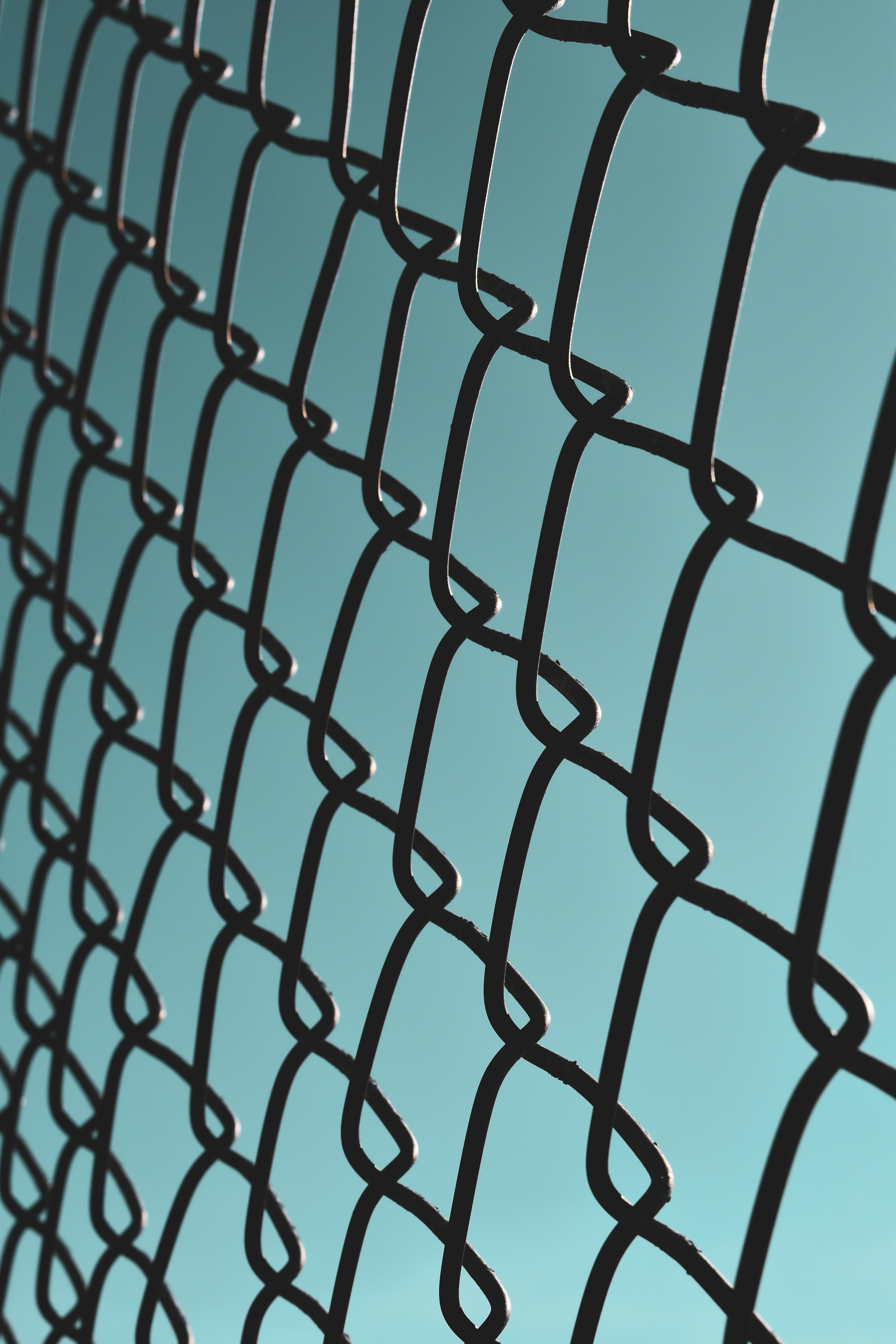 Chain Link Fencing